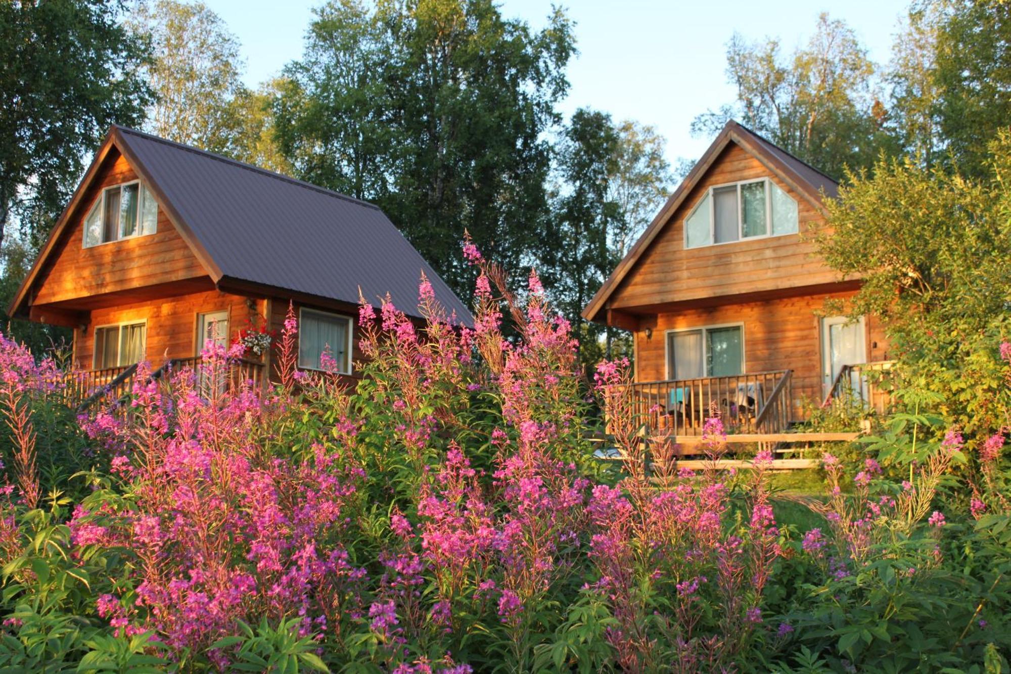 Susitna River Lodging, Riverside Cabins Talkeetna Esterno foto
