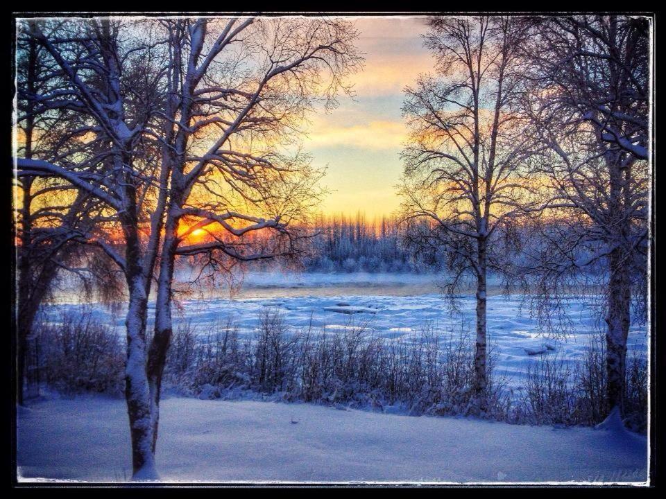 Susitna River Lodging, Riverside Cabins Talkeetna Esterno foto